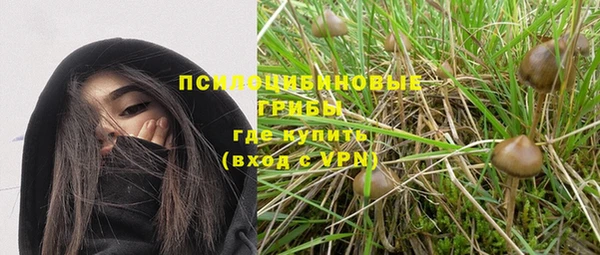 соль ск Волосово