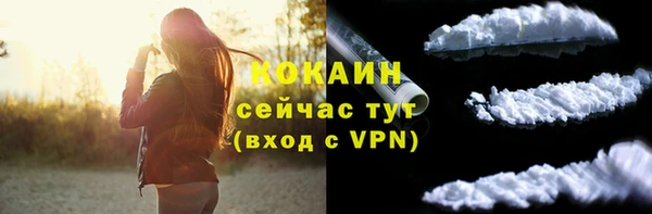 соль ск Волосово