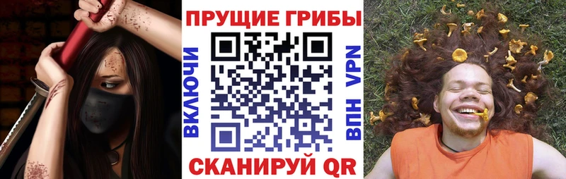 Галлюциногенные грибы Psilocybe  Калязин 